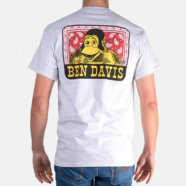 ben davis Paisley T-Shirt - Ash Grey