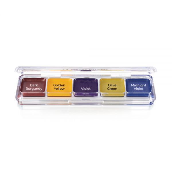 Ben Nye Bruise Alcohol FX Palette (AAP-03)