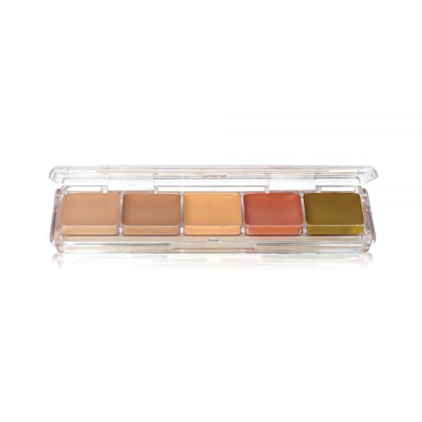 ben nye Concealer & Adjuster Alcohol Palette (AAP-23)