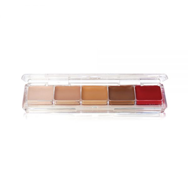 ben nye Tattoo Cover Alcohol Palette (AAP-21)