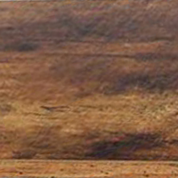 Benzara 4 Tier Wood And Metal Bookcase With Criss Cross Back Rustic Brown And Black - BM217079