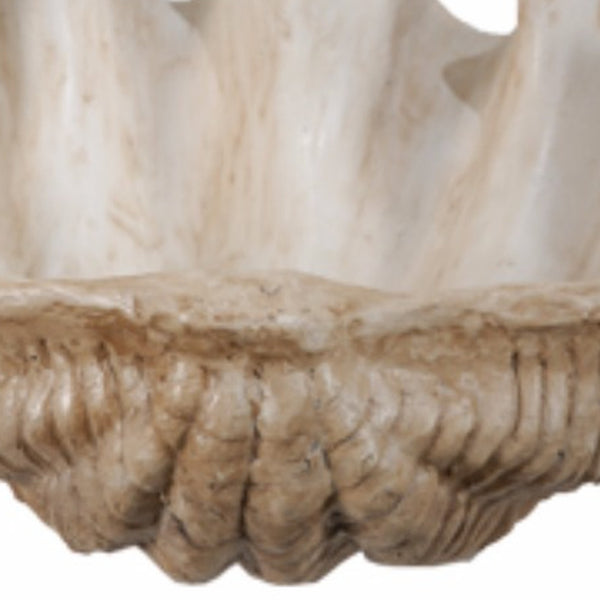 Benzara BM145582 Medium Clam Shell Accent White