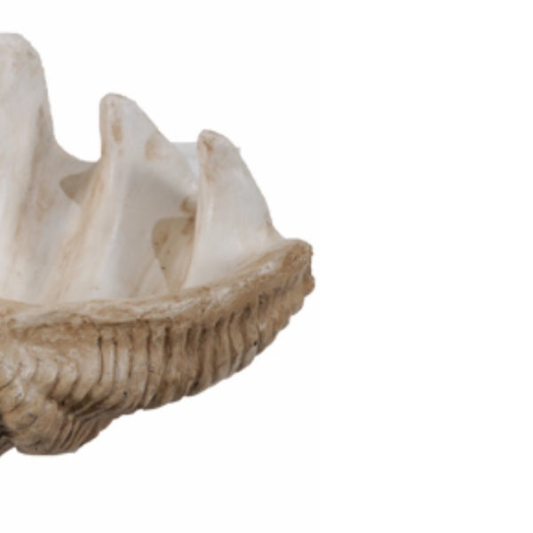Benzara BM145582 Medium Clam Shell Accent White