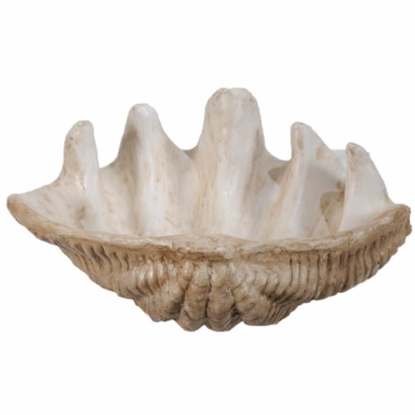 benzara BM145582 Medium Clam Shell Accent White