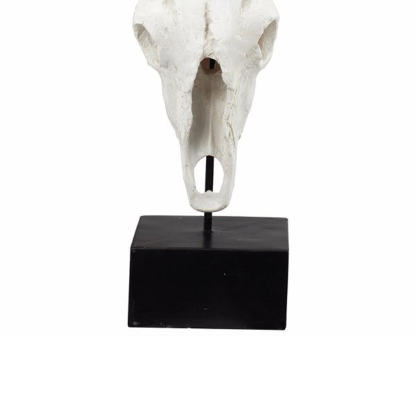 Benzara BM150715 Wild & Beautiful Cow Skull Resin