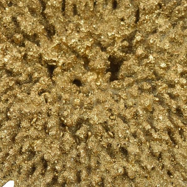 Benzara Gito Coral Sculpture Accent Decor Black Base And Gold Resin 10 Inch -BM324310