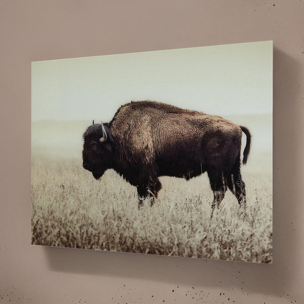 benzara Rectangular Glass Wall Art with Animal Print and Sawtooth Hanger Brown - BM227122