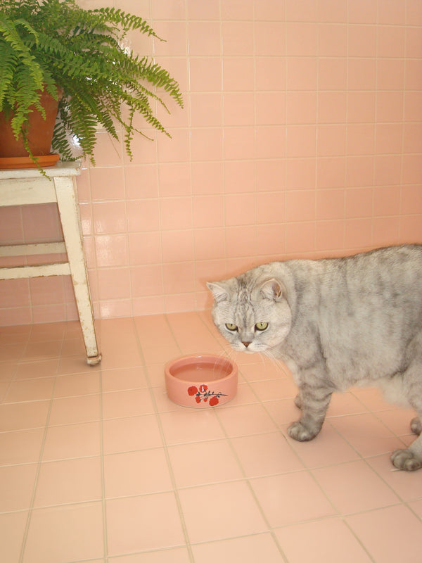 Bernadette Cat Bowl