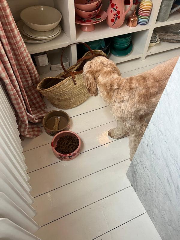 Bernadette Dog Bowl