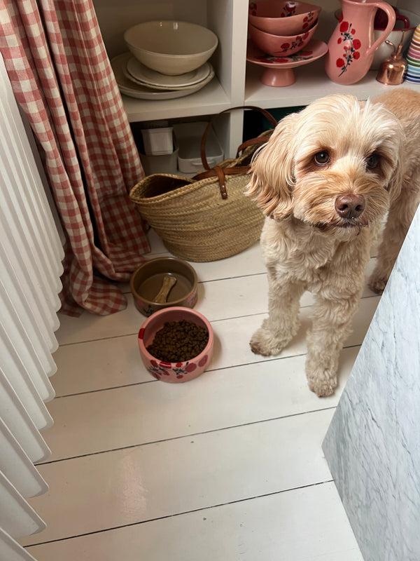 Bernadette Dog Bowl