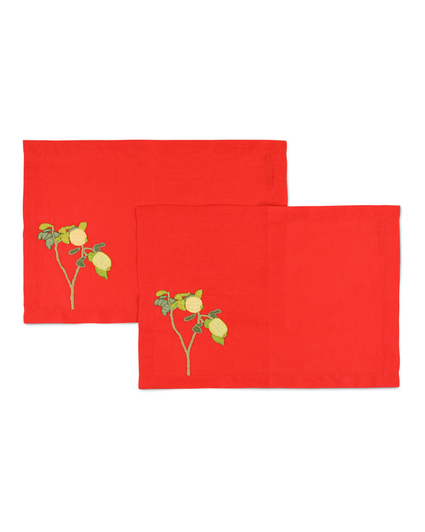 Bernadette Set Of 2 Hand-Embroidered Placemats