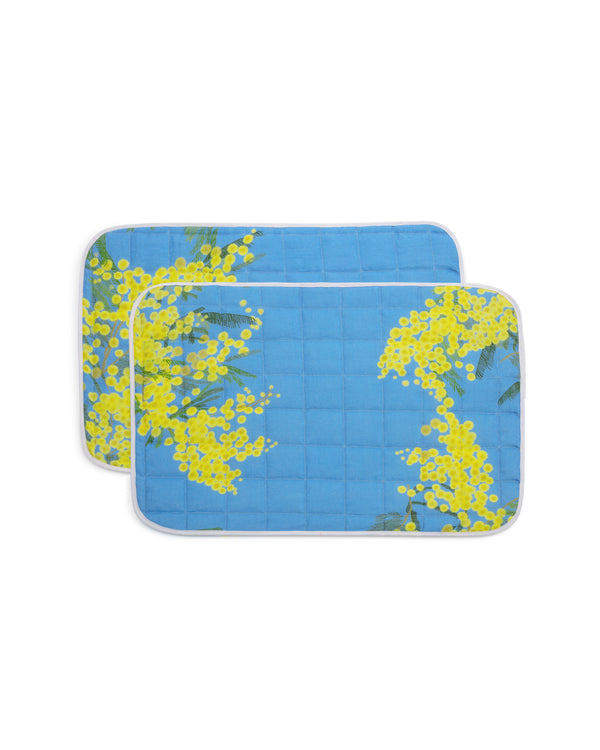 Bernadette Set Of 2 Quilted Placemats