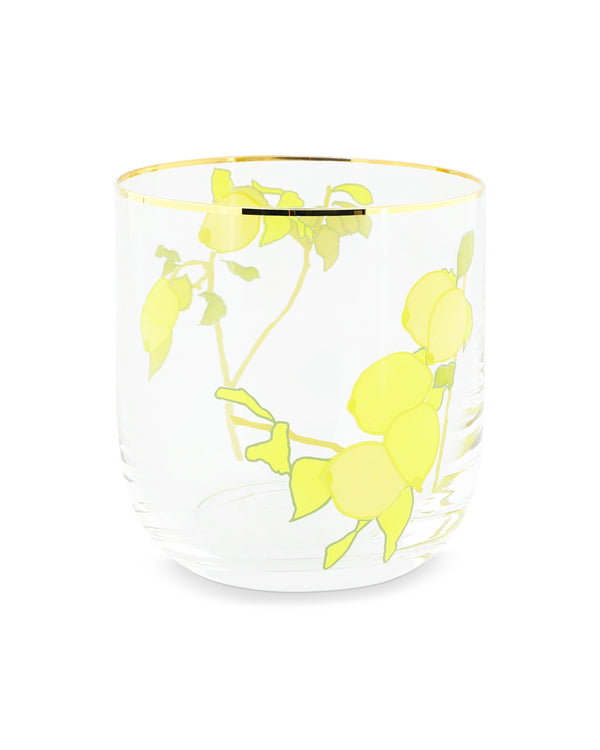 Bernadette Set Of 6 Water Glasses