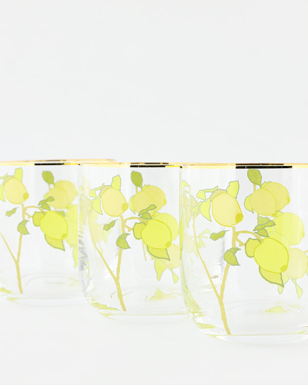 Bernadette Set Of 6 Water Glasses