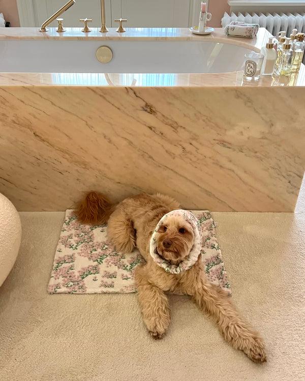 Bernadette The Spa Band