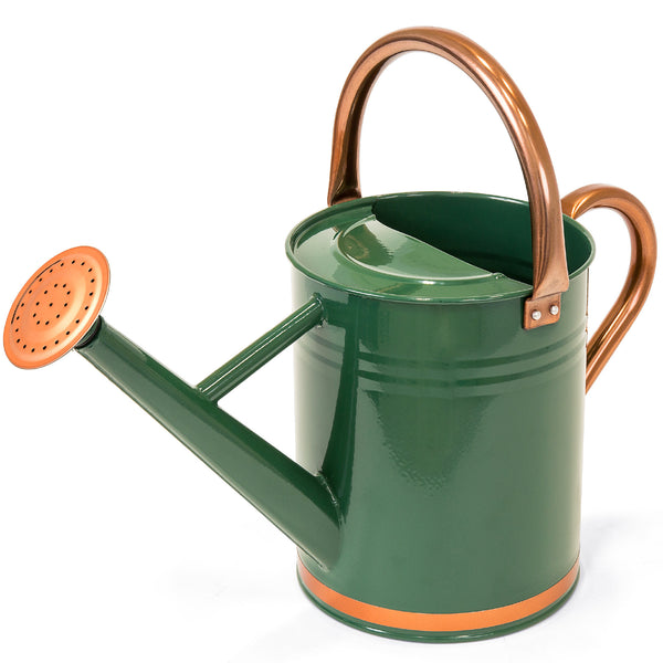best choice 1-Gallon Galvanized Steel Watering Can w/ O-Ring Top Handle