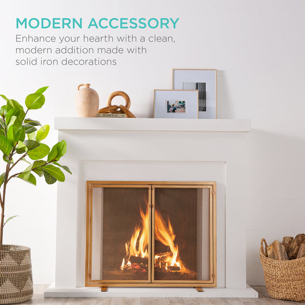 Best Choice 2-Door Wrought Iron Fireplace Screen W/ Magnetic Doors - 38.5x41in