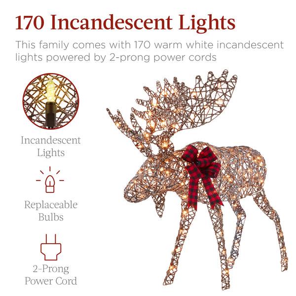 Best Choice 2-Piece Moose Family Lighted Outdoor Christmas Decoration Set W/ 170 Lights