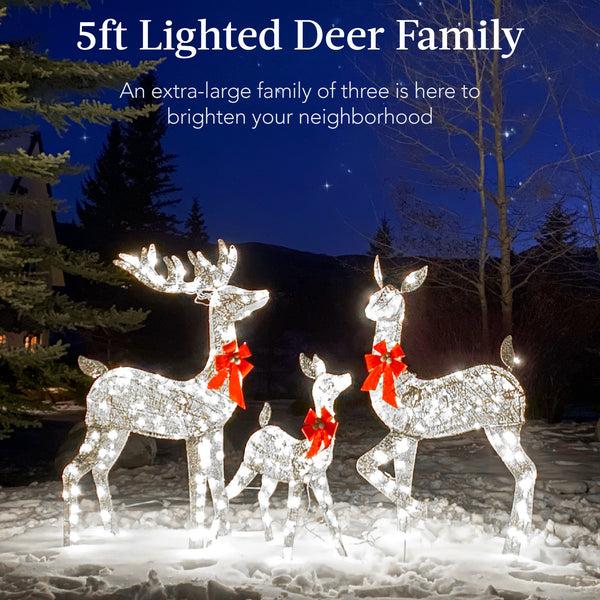 Best Choice 3-Piece Lighted Christmas Deer Set Outdoor Decor With LED Lights