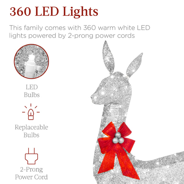 Best Choice 3-Piece Lighted Christmas Deer Set Outdoor Decor With LED Lights