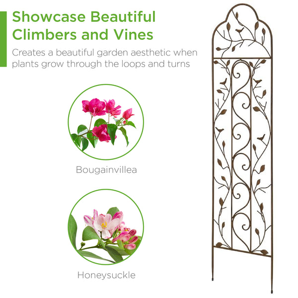 Best Choice Set Of 2 Iron Arched Garden Trellis