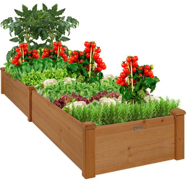 best choice Wooden Raised Garden Bed Planter for Garden Lawn Yard - 8x2ft