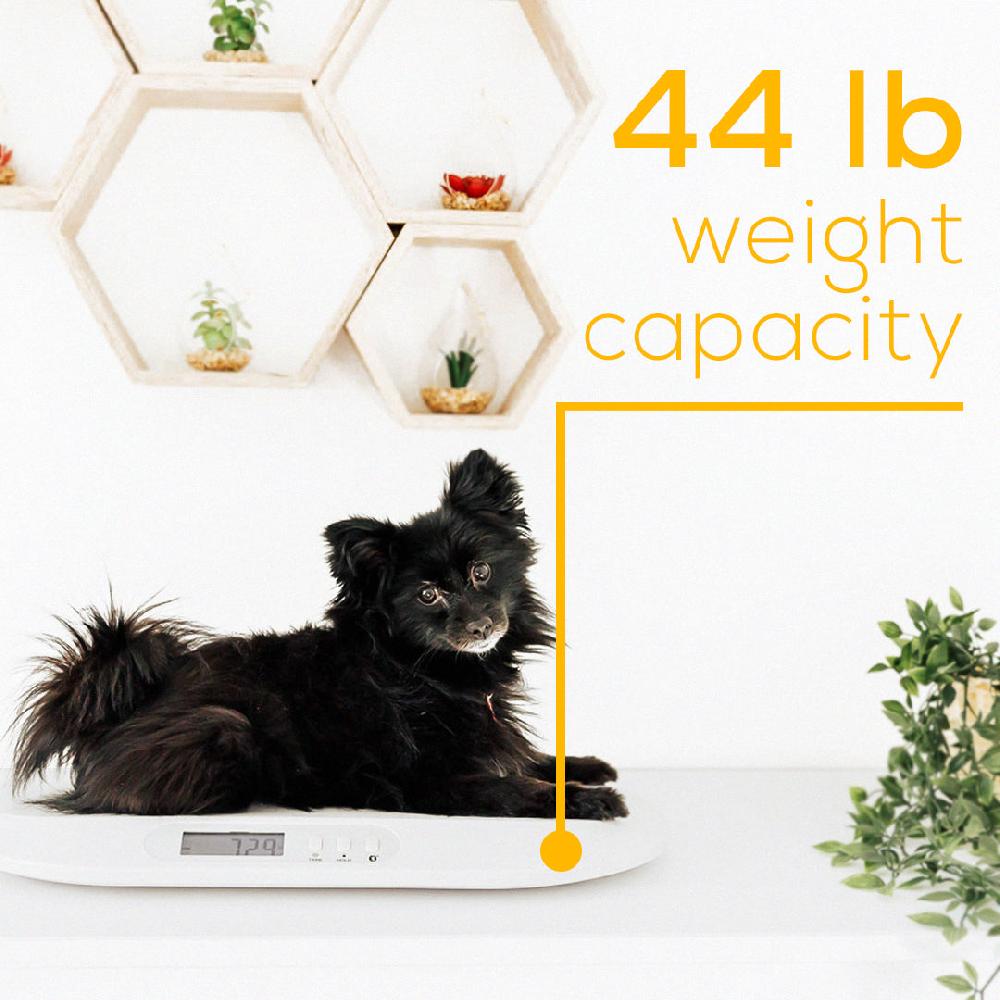 Beurer Bluetooth Digital Baby & Pet Scale BY90
