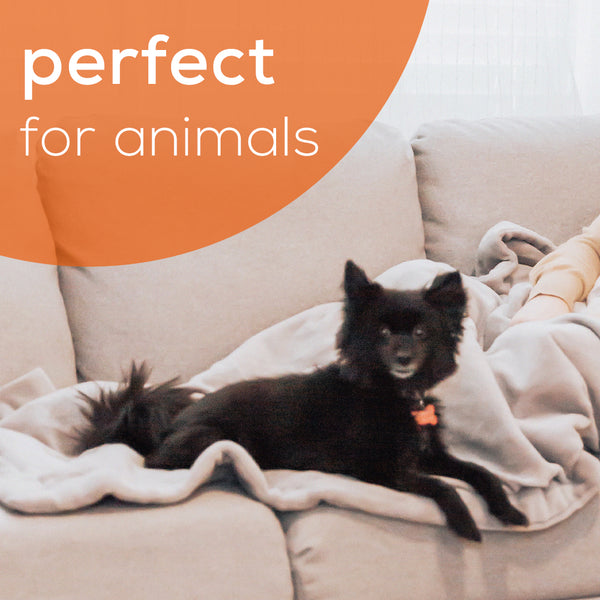 Beurer Heated Electric Blanket HD71