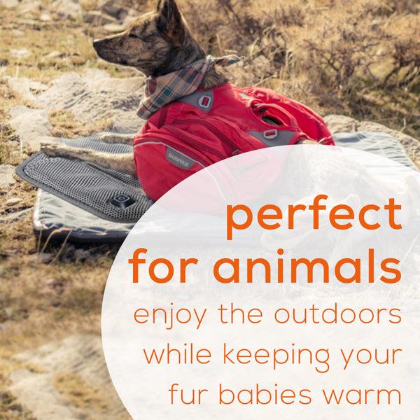 Beurer Heated Seat Pad HK47