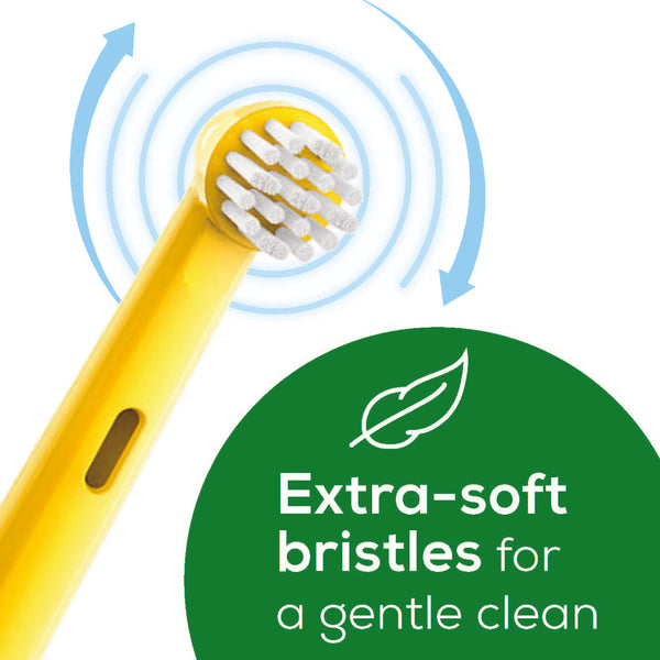 Beurer Theo The Tiger Toothbrush Heads TB10T BH