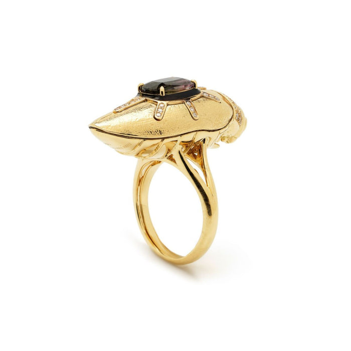 Bibi Van Der Velden Scarab Gold Brushed Ring With Watermelon Tourmaline