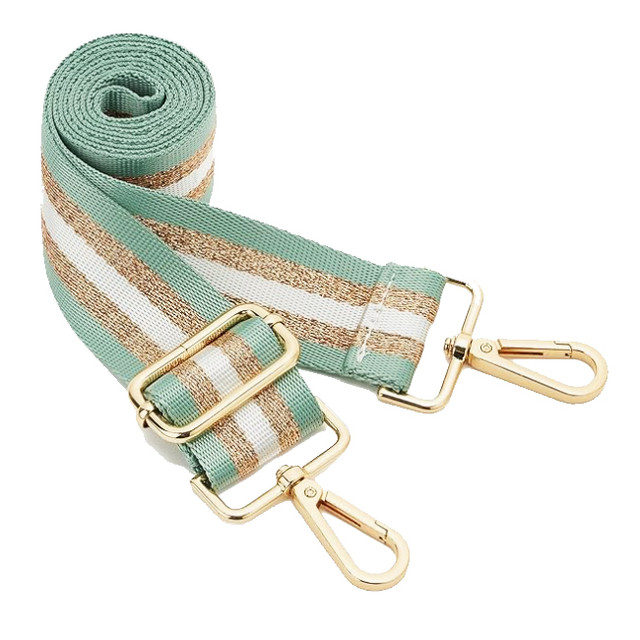Big Skinny Adjustable Striped And Metallic Crossbody Straps
