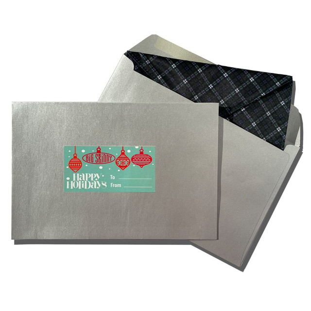 big skinny Silver Gift Envelope