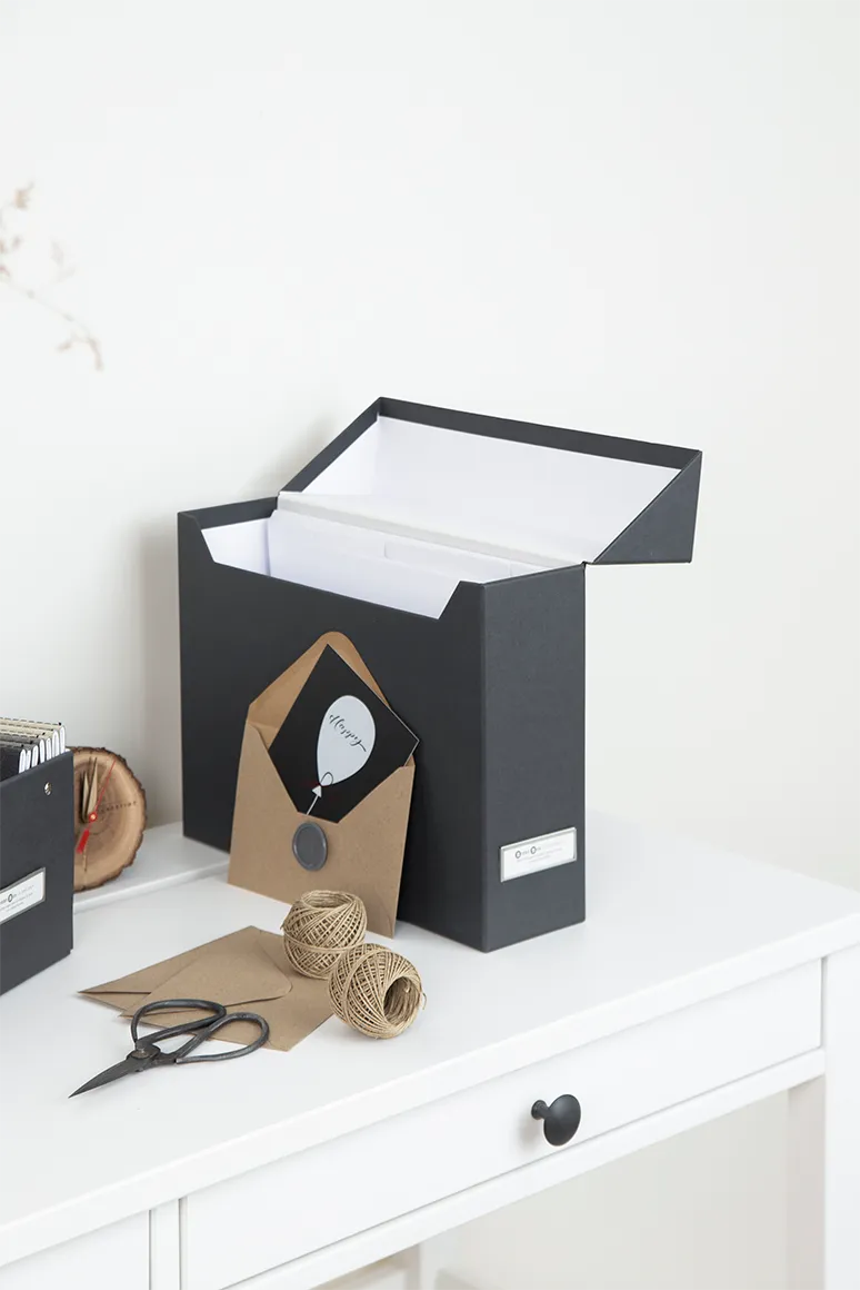 bigso box of sweden Lovisa