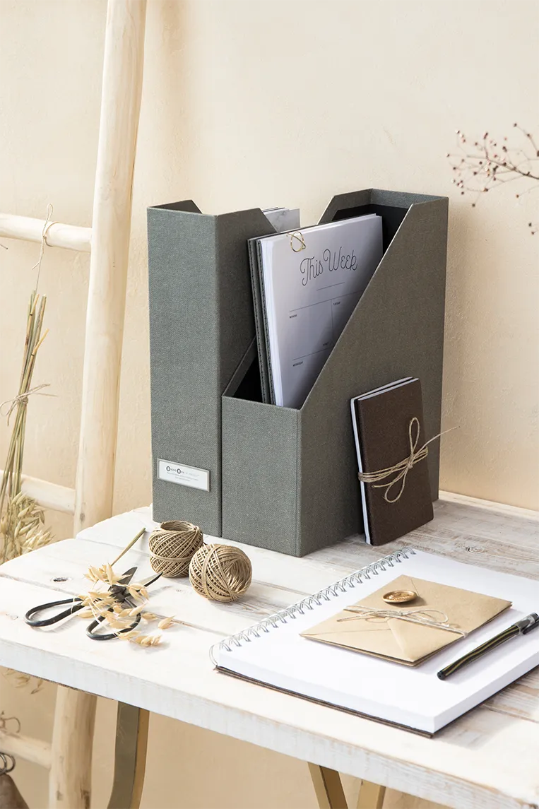 Bigso Box Of Sweden Viola