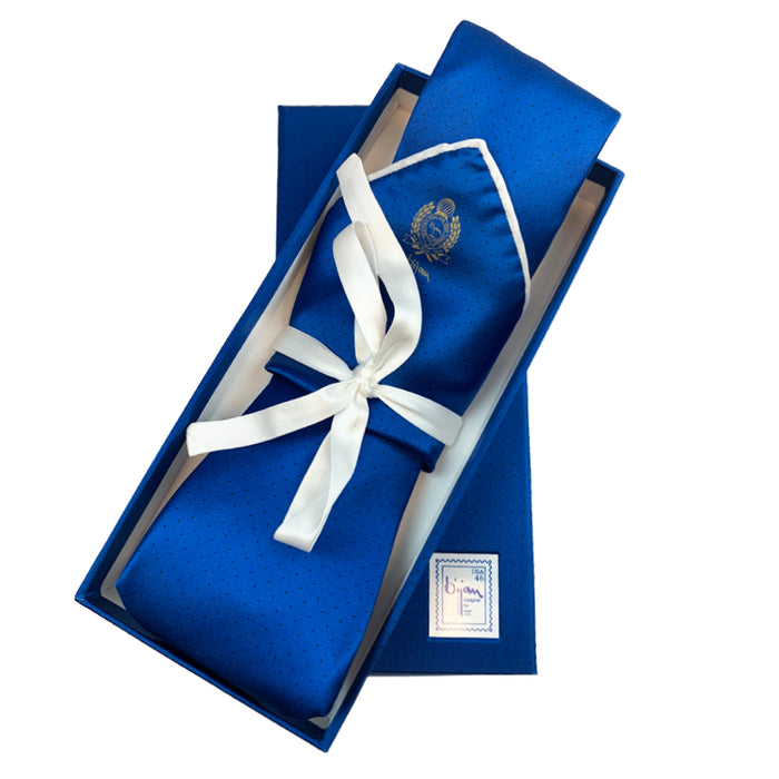 bijan Bijan Blue Pure Silk Tie Set
