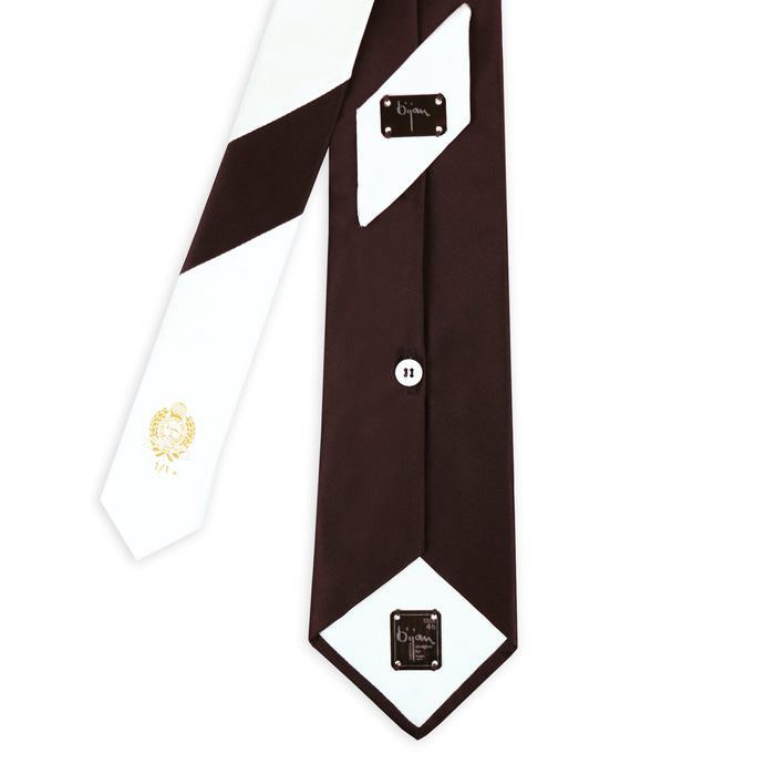 Bijan Bijan Brown Pure Silk Tie Set