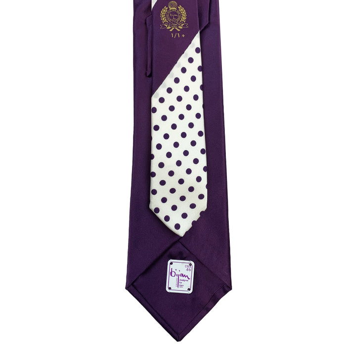 Bijan Bijan Pure Silk Tie Set