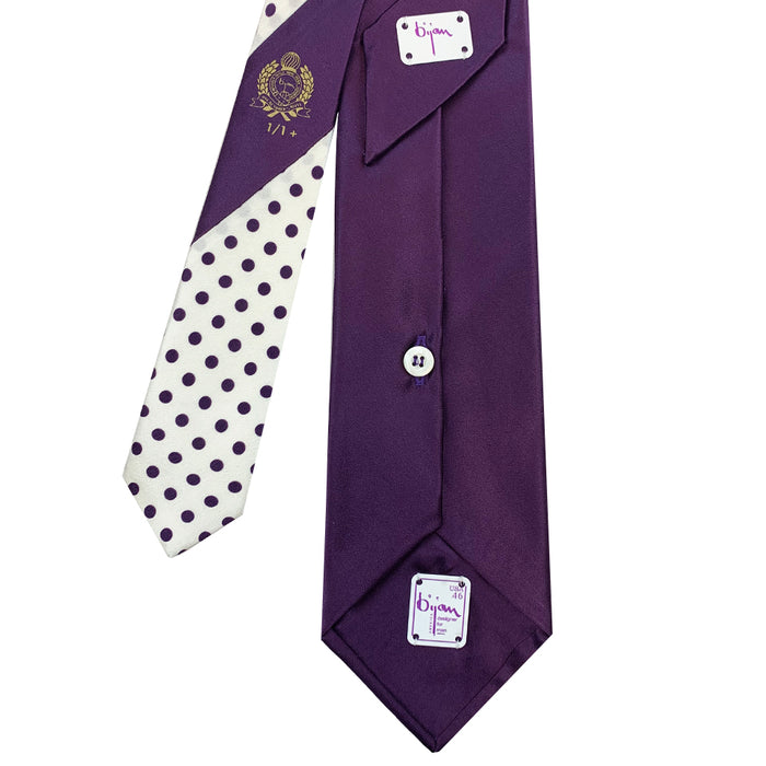 Bijan Bijan Pure Silk Tie Set