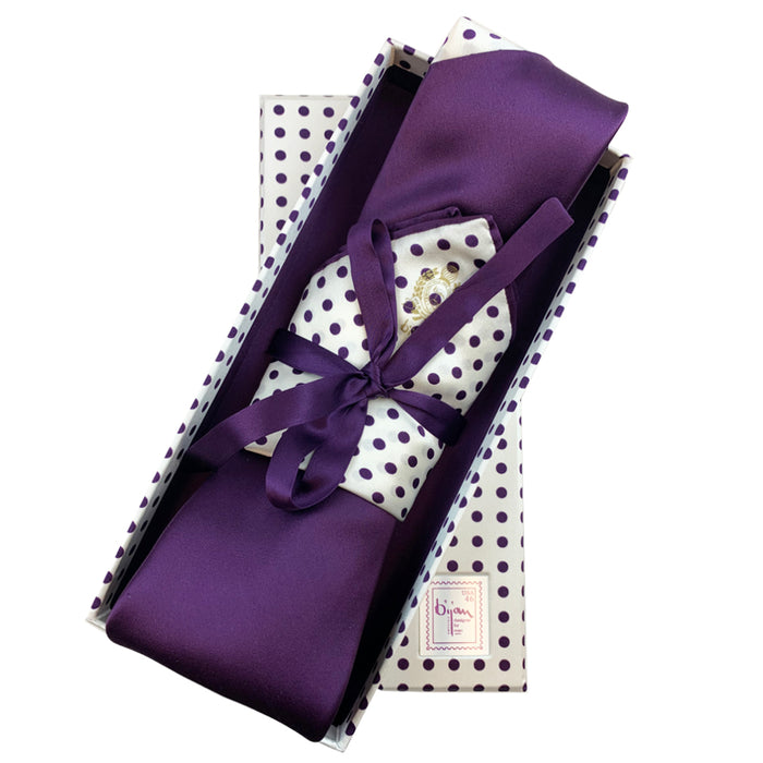 bijan Bijan Pure Silk Tie Set