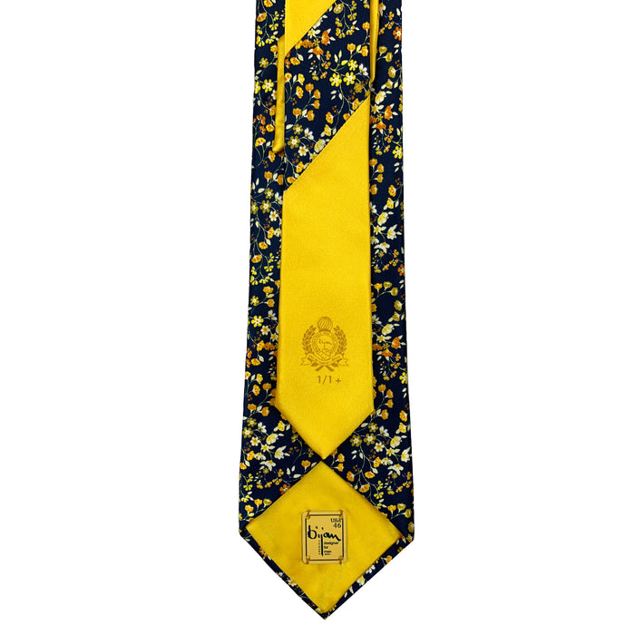 Bijan Bijan Pure Silk Tie Set