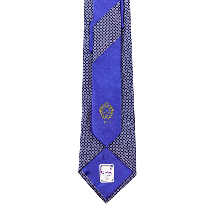 Bijan Bijan Pure Silk Tie Set