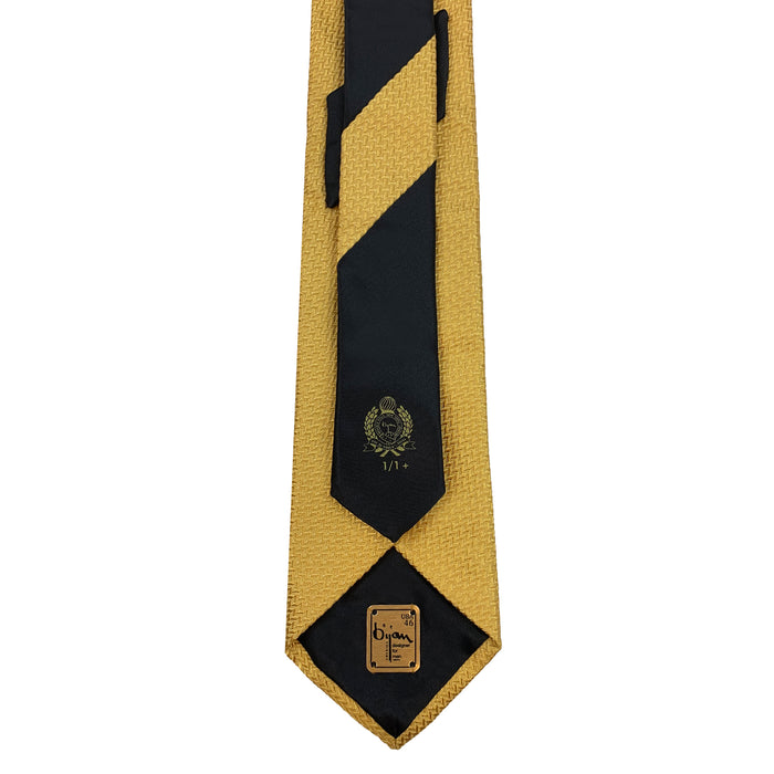 Bijan Bijan Pure Silk Tie Set