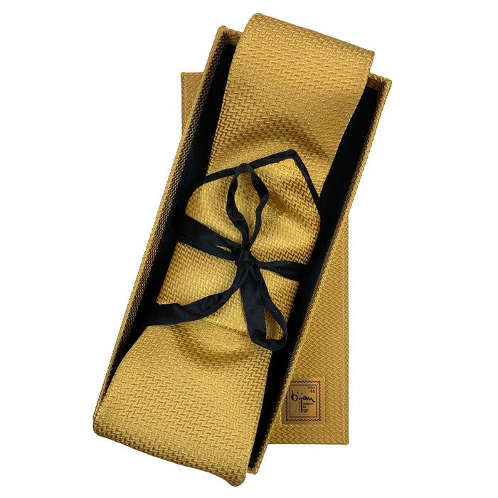 bijan Bijan Pure Silk Tie Set