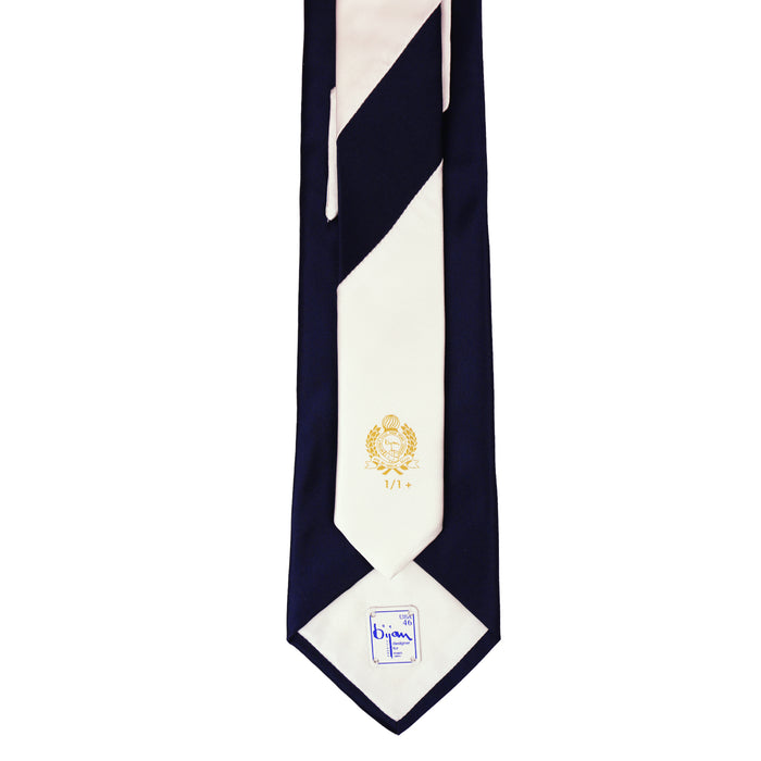 Bijan Bijan Pure Silk Tie Set