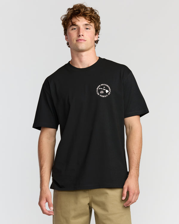 billabong Aloha Island Hi Regular Short Sleeve T-Shirt - Washed Black