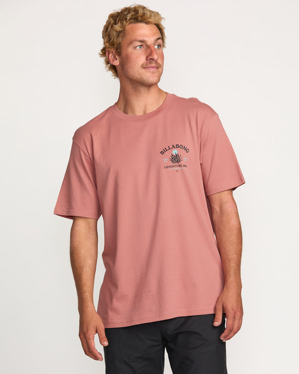 billabong A/Div Agave Tee - Dusty Rose