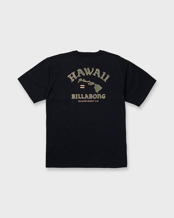 Billabong Island Chain Hawaii Regular Tee - Black