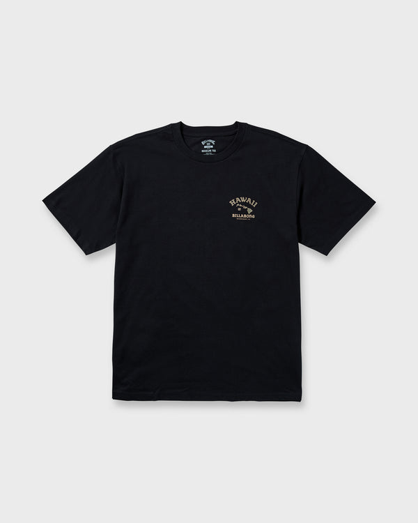 billabong Island Chain Hawaii Regular Tee - Black