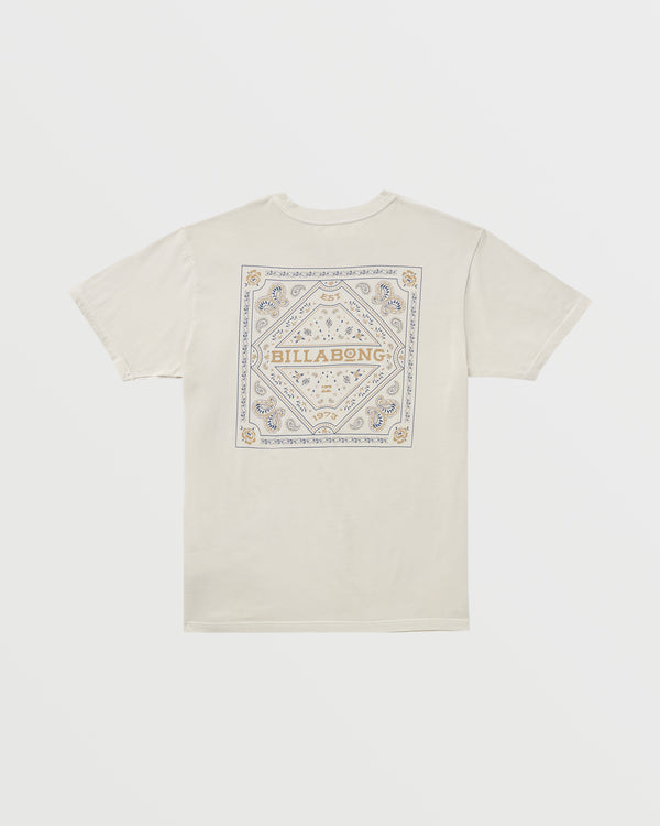 Billabong Paise Haze Premium Wave Wash Tee - Chino